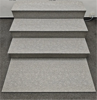 Dalles de pavage extérieures 47x120cm, 1,2cm d'épaisseur, antidérapantes, en porcelaine, pour escaliers extérieurs, bordure arrondie, pour piscine