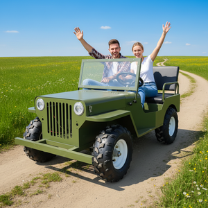 QIQU Vehículo Todoterreno de 2 Plazas con Tracción por Eje, Coche para Zonas Turísticas, Mini Jeep Willys Eléctrico Comercial - Product Image 1