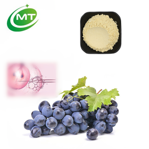 天然ブドウ幹細胞粉末MT健康ブドウ幹細胞 - Product Image 1