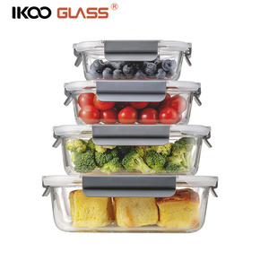 Glass Box Meal Prep Airtight Glass Food Storage Container 10 Pack Healthy Meal Prep Boxes With Airtight Lids BPA Free 10 Lids 10 Containers