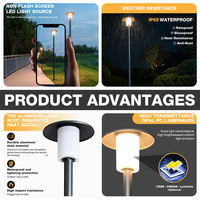 Lámparas de Jardín Profesionales de Alta Potencia con un Solo Faro, Resistentes al Agua IP65, Fuente SMD, Material de Aluminio, 30W LED, para Exteriores