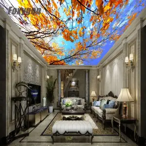 室内装饰天花板材料PVC拉伸天花板LED漫射灯系统用于天花板装饰
