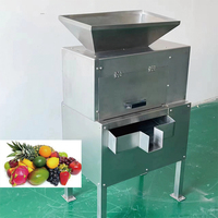 Commerciële Fruitextractor Granaatappelpulpmachine Passievruchtensapmachine