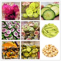 Industrieel Gebruik Ce 200Kg 300Kg 500Kg 1000Kg Groot Vlees Pet Food Freeze Droger Snoep Fruit Vacuüm Kruiden Lyofilisator Machine