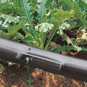 Sistema di irrigazione <span class=keywords><strong>a</strong></span> <span class=keywords><strong>goccia</strong></span> agricolo da 16 mm, nastro/tubo/flessibile <span class=keywords><strong>a</strong></span> doppio foro <span class=keywords><strong>per</strong></span> <span class=keywords><strong>piante</strong></span> in serra e in fattoria - Product Image 6