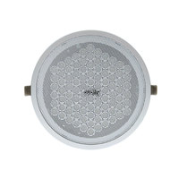 Audfly R2 Haut-parleurs directionnels paramétriques de signalisation numérique Monté au plafond Fuite sonore minimale Écouteur amélioré Métal