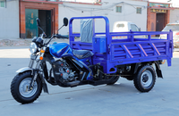 Tricycle cargo à trois roues avec toit, moteur refroidi par eau 300cc, essence, Y003