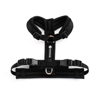 Harnais pour chien en forme de Y, simple et solide, avec logo personnalisé, ergonomique, réglable, rembourré, anti-traction