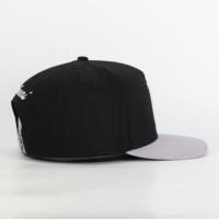 Gorra Snapback Personalizable de 5 Paneles, Bicolor, Estructurada, de Algodón, con Logotipo Bordado en 3D, Casual, Unisex, para Adultos, para Exteriores
