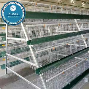 Yüksek kaliteli sıcak daldırma galvanizli kanatlı tavuk kafesi üreticisi/civciv/pullet/tavuk yumurtlama kafesi (Guangzhou fabrika) - Product Image 4
