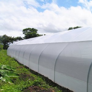 Fábrica Diretamente Casa Verde Telhado PE Estufa <span class=keywords><strong>Film</strong></span> Cover Estufa filme plástico tratado UV