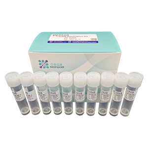 Kit de dissociation de la trachée (10 <span class=keywords><strong>TEST</strong></span>) Dissociation des tissus pour la recherche ISO 9001 BA3328 - Product Image 3