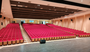 Asientos de auditorio de chapa para salón, diseño de aleación de aluminio, silla de corte de cine, asiento de auditorio, sillas en un aula - Product Image 3