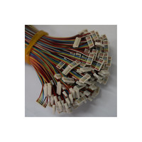 Perakitan Kabel Konektor Disesuaikan Pabrik Jst 1.0Mm Pitch Konektor Kawat Harness