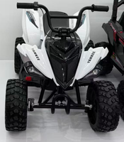Quad électrique pour enfants 24V, 4845, moteurs doubles silencieux, roues EVA, tout-terrain, voiture jouet à conduire pour adolescents de plus de 10 ans