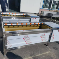Rolborstelwasser voor fruit, groenten, kokosnoot, maïs, automatische suikerriet schil- en reinigingsmachine