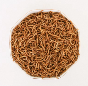 Produttore di alta qualità post-vendita preoccupazione verme essiccato cibo per animali domestici congelamento verme della farina - Product Image 4