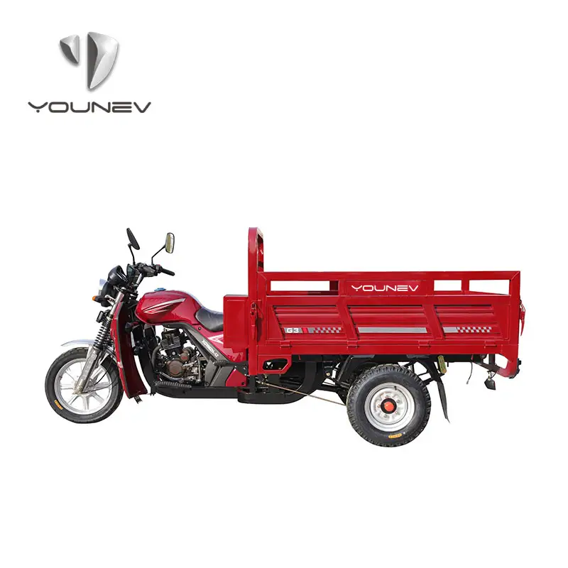 Yousev 111 - 150cc 12V Cargo motorizzato Trikes 3 ruote moto raffreddato ad aria motore triciclo