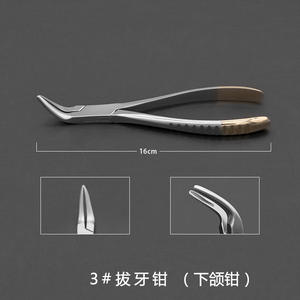 Pinzas de Extracción Dental de 16 cm con Empuñadura Moleteada para Mandíbula Superior, para Adultos y Mascotas, Instrumento Quirúrgico - Product Image 3