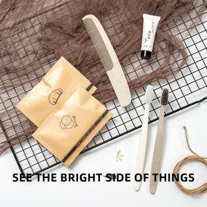 Ensemble de toilette écologique pour hôtel Matériau PET jetable Brosse à dents recyclable Peigne Bonnet de bain - Product Image 5