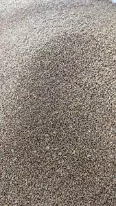 Selezionatore ottico di colore e forma dei grani multifunzione aggiornato per lo smistamento di cereali/lenticchie/orzo con certificato CE