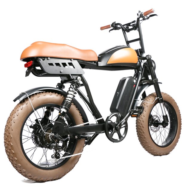 Super Powered Electric Motorcycle Style Vintage Fat Tire Electric Bike Retro Electric Bike 2000w Optional for Sale