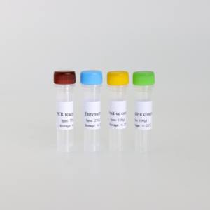 Kit Triple neon RT - PCR untuk ketegangan Amerika PRRSV, <span class=keywords><strong>HP</strong></span> - PRRSV & NADC30 - Product Image 4