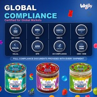 Bonbons Gélifiés Moelleux Sucrés et Acidulés Halal Végétaliens en Gros pour Enfants, Idéaux pour les Fêtes, Tendance Virale TikTok, Conformes aux Normes USA et Europe