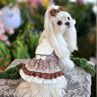 Vêtements d'été élégants et chics pour animaux de compagnie, robe de soirée de luxe Lolita pour chien, mode boutique, réduction en gros