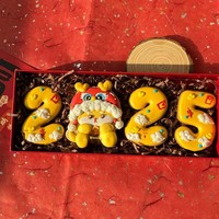 Coffret Cadeau de Biscuits Sucrés Givrés du Nouvel An, Année du Serpent, Décoratif et Créatif