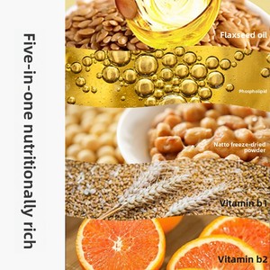 <span class=keywords><strong>Natto</strong></span> Baolong Or, complément alimentaire spécialisé en oméga-3, nattokinase, 60 capsules, gestion de l'énergie, adulte, distribution OEM - Product Image 3