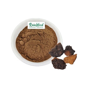 Fabrik Großhandel Bulk Inonotus Obliquus Extrakt Braunes Pilz pulver Polysaccharide <span class=keywords><strong>Chaga</strong></span> Extrakt - Product Image 1