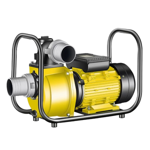 Bomba de Agua Eléctrica Autocebante para Hogar y Jardín, Bomba de Presión de Agua Doméstica de Alta Eficiencia 110V 220V - Product Image 1