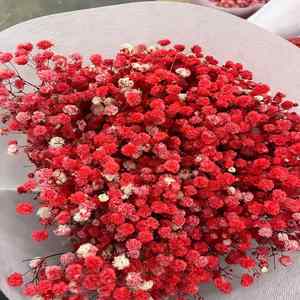 Decoración artificial <span class=keywords><strong>de</strong></span> diversos estilos para la decoración creativa <span class=keywords><strong>de</strong></span> la boda Gypsophila <span class=keywords><strong>Paniculata</strong></span> - Product Image 6