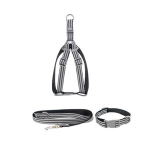 Laisse pour chien de petite et moyenne taille, en sangle plastique Eash, réfléchissante de nuit, anti-explosion, avec poche, personnalisable - Product Image 1