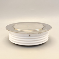 Thyristor Gerbang Terdistribusi IP147-3176-P untuk Furnace Fasr SCR IP147-3176-P