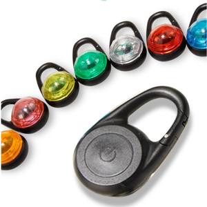 <span class=keywords><strong>Collar</strong></span> LED DE SEGURIDAD personalizado para perro, <span class=keywords><strong>collar</strong></span> con luz para perro, etiqueta LED con clip, etiqueta para mascota, <span class=keywords><strong>collar</strong></span> para perro - Product Image 1