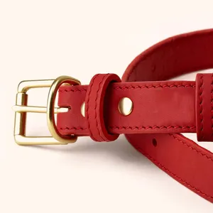 Durable Leather Dog Collar Red Fashion Waterproof Leather Dog Collar With Brass Hardware Full-Grain Leather Collar