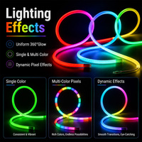 Tubo de Neón Negro Redondo de 22 mm, Brillo Uniforme de 360 Grados, Luz LED Flexible de Silicona para Escenarios, Clubes, Eventos, Diseño de Iluminación Decorativa