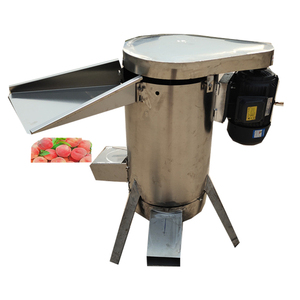 Máquina de pulpa de manzana de alta calidad, máquina de eliminación y pulpa de núcleo de cereza de mango, máquina para hacer Pulpa de puré de frutas y verduras - Product Image 6