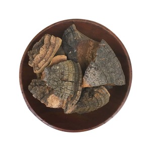 Vente de gros Sang Huang Champignons sauvages Phellinus Linteus et Phellinus Igniarius séchés en vrac Épices et herbes - Product Image 1
