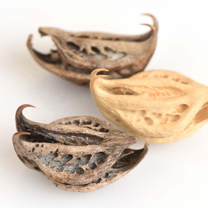 थोक थोक <span class=keywords><strong>Harpagophytum</strong></span> <span class=keywords><strong>Procumbens</strong></span> निकालने शैतान की बिक्री के लिए पंजा निकालने पाउडर - Product Image 4