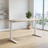 Bureau Ergonomique Moderne en Bois MFC, Convertible, Extensible, Réglable en Hauteur, Double Moteur, Gris, Fixation Murale, Panneau Commercial