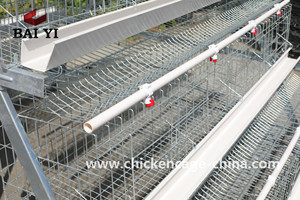 Cage à poules à étages de type A, cages à batterie pour le Sri Lanka - Product Image 3