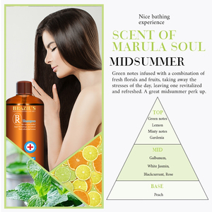 Meilleur shampooing nourrissant à l'huile d'argan <span class=keywords><strong>pour</strong></span> <span class=keywords><strong>cheveux</strong></span> <span class=keywords><strong>secs</strong></span> <span class=keywords><strong>et</strong></span> abîmés, soin capillaire <span class=keywords><strong>et</strong></span> du cuir chevelu à la kératine naturelle du Brésil, marque privée - Product Image 5