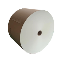 Rouleau de papier kraft biodégradable, résistant à la chaleur, recyclable, imperméable, adapté aux aliments, avec revêtement PE double face, 150-320 g/m²