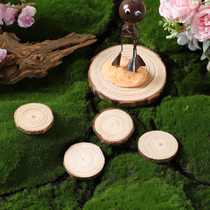 Mystic Arts Wood Slice Coasters Natural Pine Multiple Sizes Craft Decor Base - Product Image 3