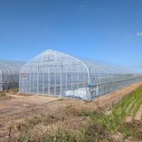 Grote passieve zonne-wintertunnelkas: enkelspannige tunnelkas voor tomaten, landbouw, plastic kasuitrusting