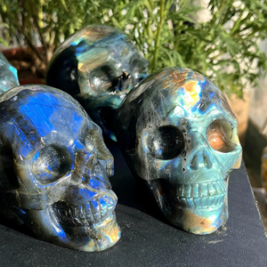 Venta al por Mayor de Calaveras de Labradorita Natural de Alta Calidad, Talladas a Mano, Estilo Bohemio, para Decoración del Hogar, Halloween, 4-5cm, a la Moda - Product Image 1