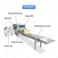 Machine d'emballage automatique de plateaux à œufs en pulpe de papier HNOC pour œufs de petite taille, avec fonction de lavage et de tri